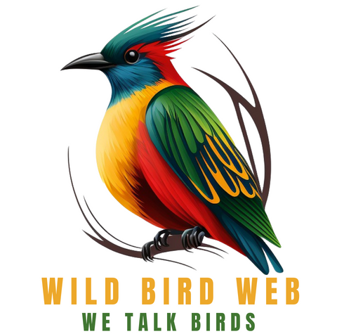 Wild Bird Web